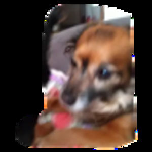 Meet your Posher, Lisa